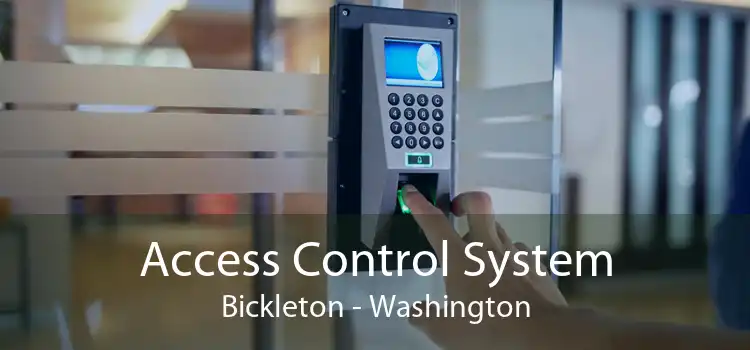 Access Control System Bickleton - Washington