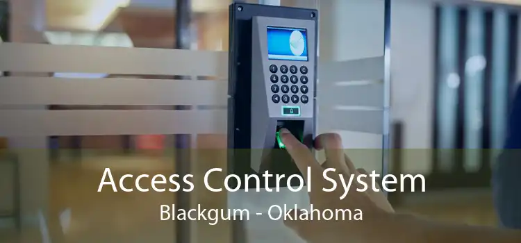 Access Control System Blackgum - Oklahoma