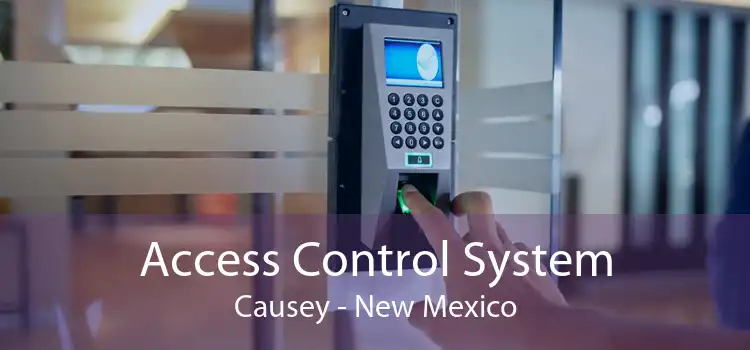 Access Control System Causey - New Mexico