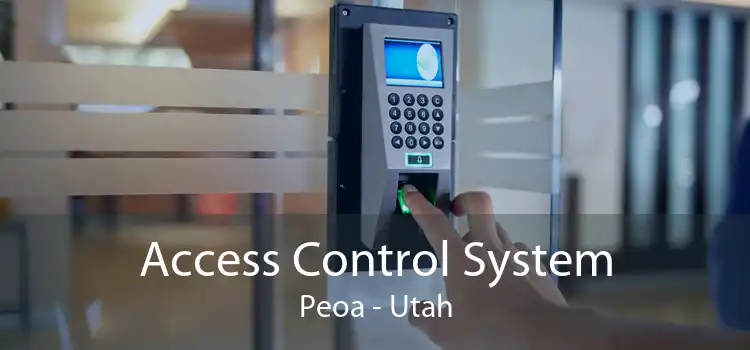 Access Control System Peoa - Utah