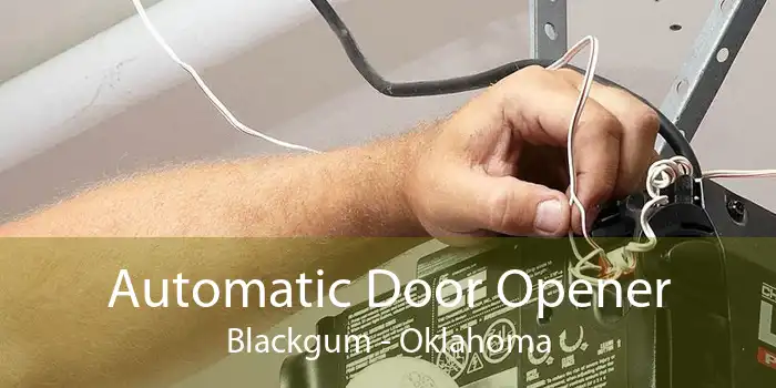 Automatic Door Opener Blackgum - Oklahoma