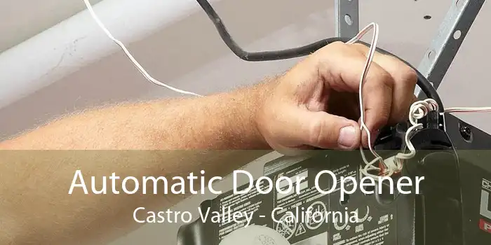 Automatic Door Opener Castro Valley - California