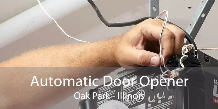 Automatic Door Opener Oak Park - Illinois