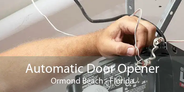 Automatic Door Opener Ormond Beach - Florida