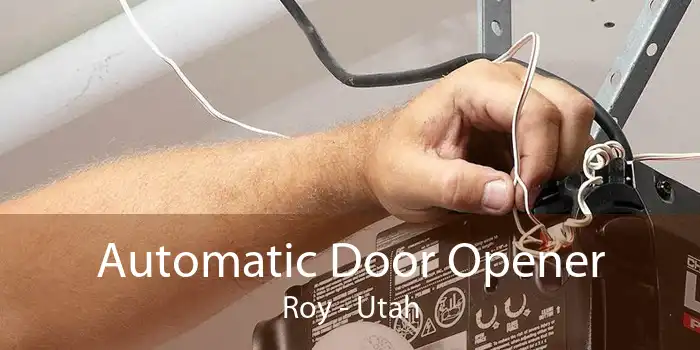 Automatic Door Opener Roy - Utah