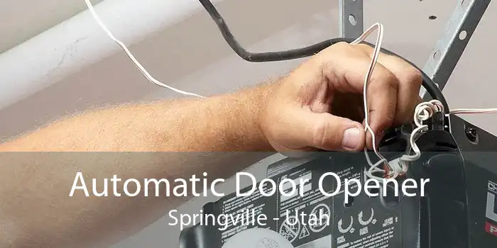 Automatic Door Opener Springville - Utah