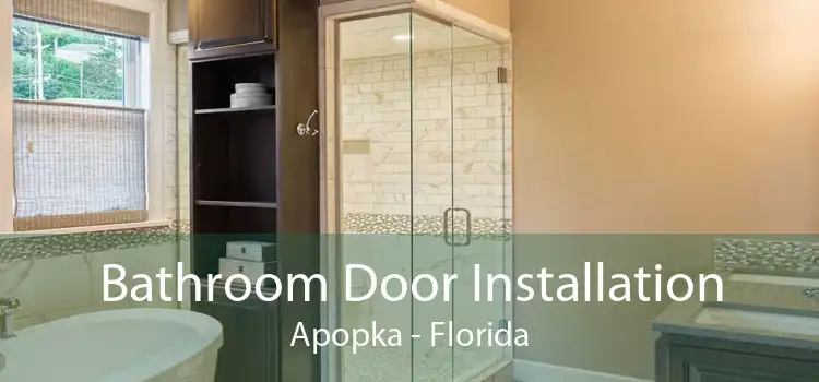 Bathroom Door Installation Apopka - Florida