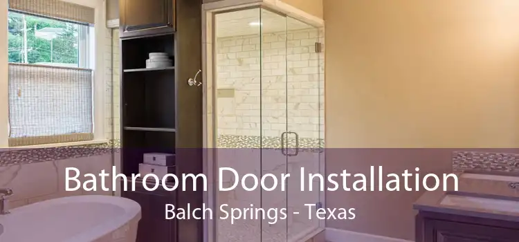 Bathroom Door Installation Balch Springs - Texas