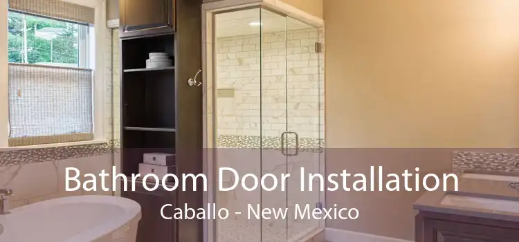 Bathroom Door Installation Caballo - New Mexico
