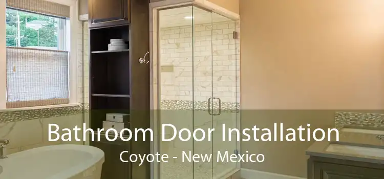 Bathroom Door Installation Coyote - New Mexico