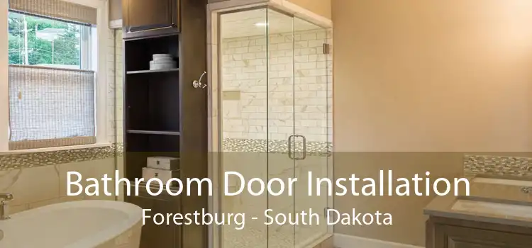 Bathroom Door Installation Forestburg - South Dakota