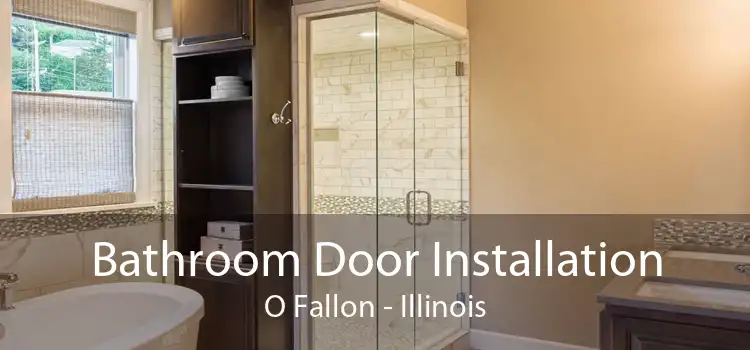 Bathroom Door Installation O Fallon - Illinois