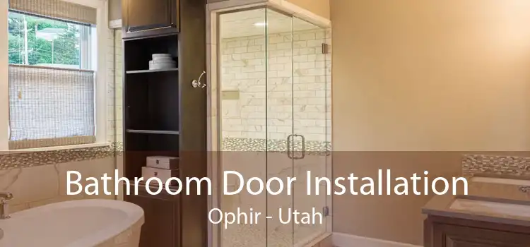 Bathroom Door Installation Ophir - Utah