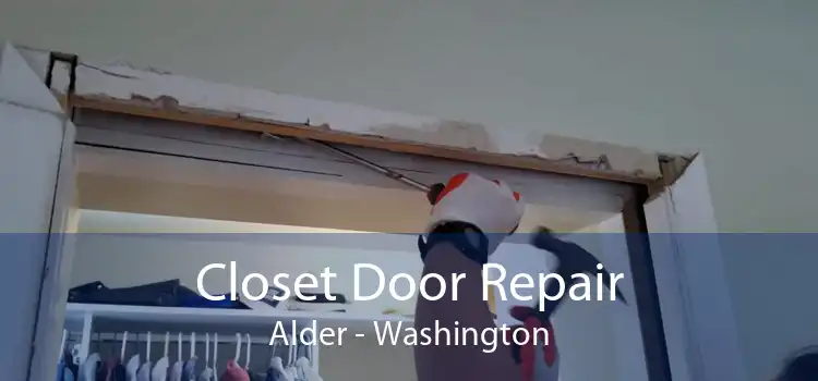 Closet Door Repair Alder - Washington