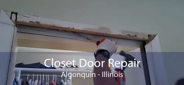 Closet Door Repair Algonquin - Illinois