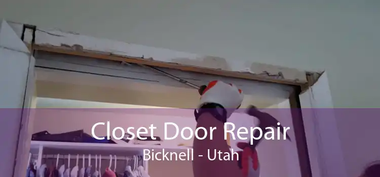 Closet Door Repair Bicknell - Utah