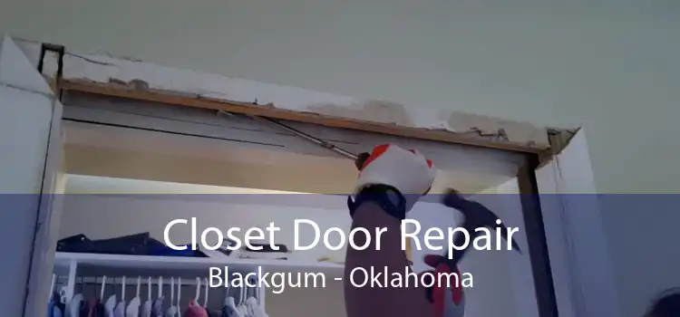 Closet Door Repair Blackgum - Oklahoma