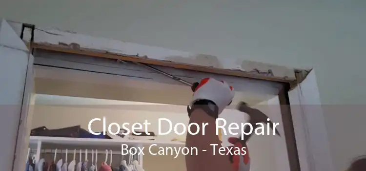 Closet Door Repair Box Canyon - Texas