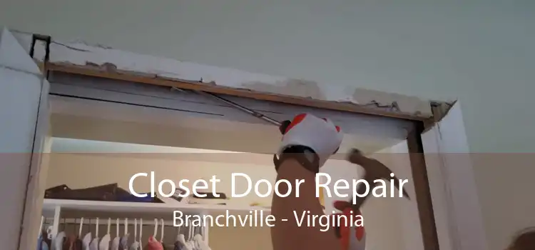 Closet Door Repair Branchville - Virginia
