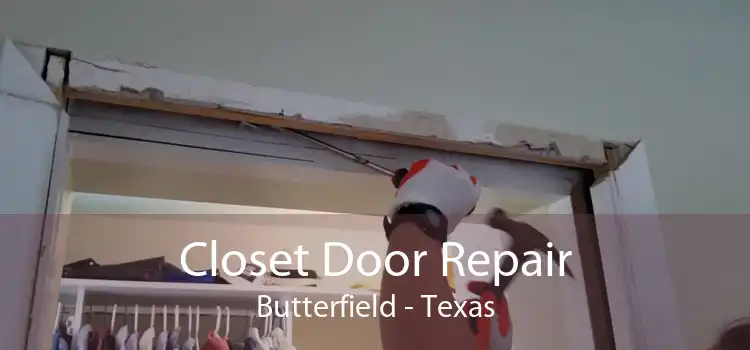 Closet Door Repair Butterfield - Texas