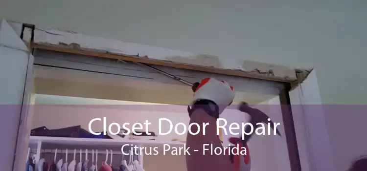Closet Door Repair Citrus Park - Florida