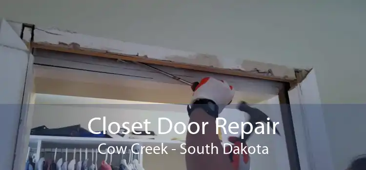 Closet Door Repair Cow Creek - South Dakota