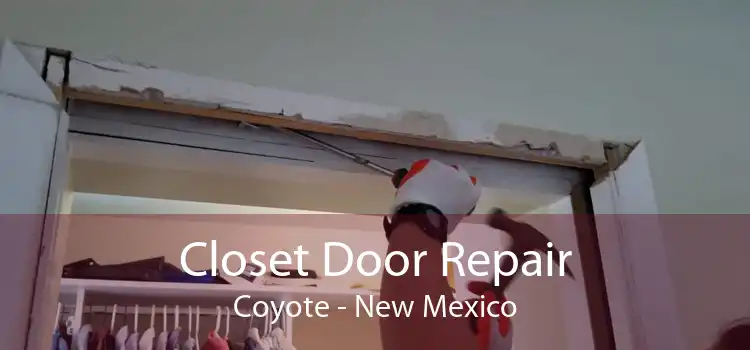Closet Door Repair Coyote - New Mexico