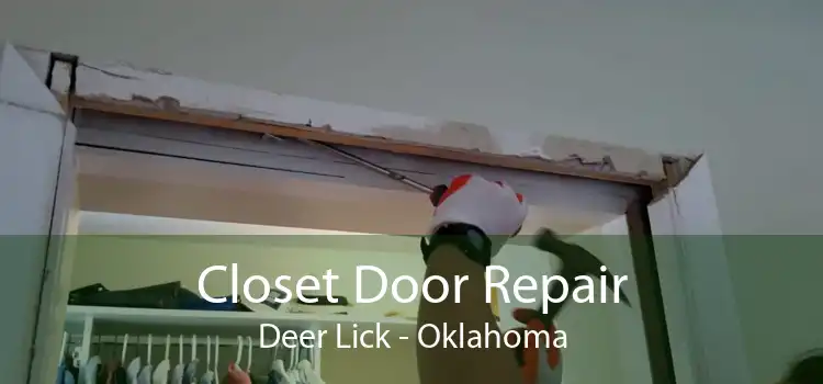Closet Door Repair Deer Lick - Oklahoma