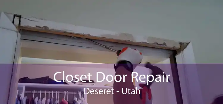 Closet Door Repair Deseret - Utah