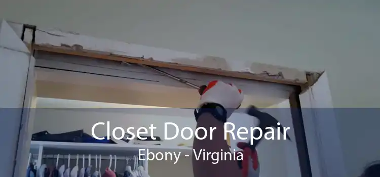 Closet Door Repair Ebony - Virginia