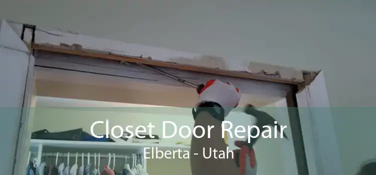 Closet Door Repair Elberta - Utah