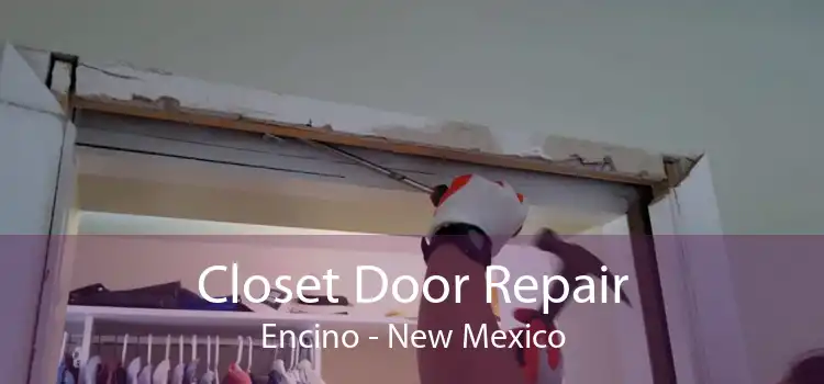 Closet Door Repair Encino - New Mexico