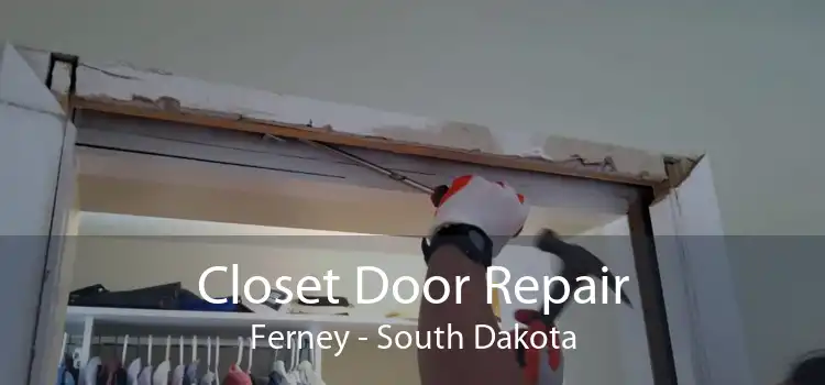 Closet Door Repair Ferney - South Dakota