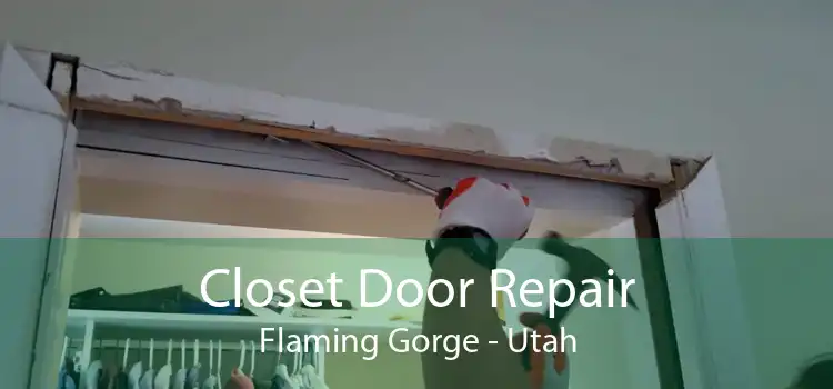 Closet Door Repair Flaming Gorge - Utah