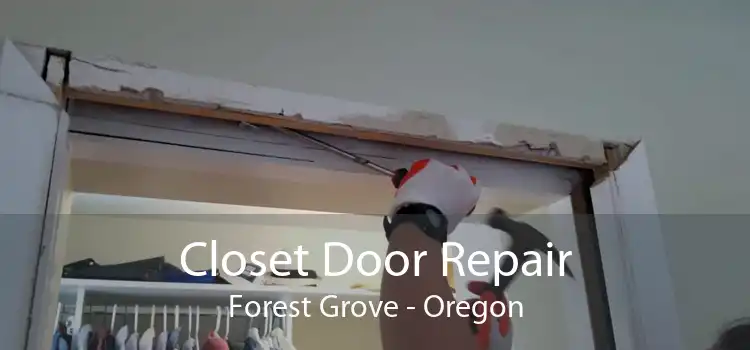 Closet Door Repair Forest Grove - Oregon