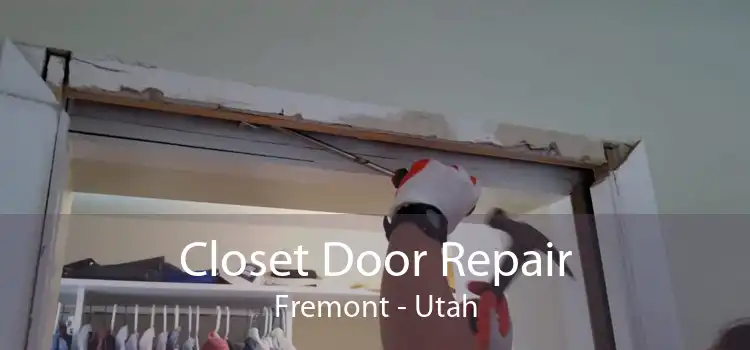 Closet Door Repair Fremont - Utah