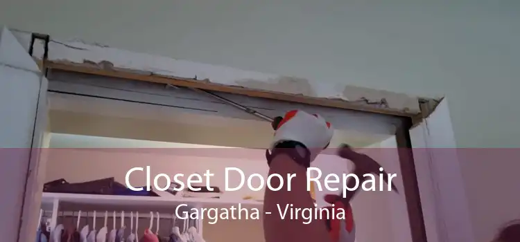 Closet Door Repair Gargatha - Virginia