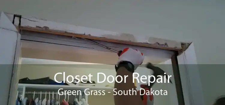 Closet Door Repair Green Grass - South Dakota