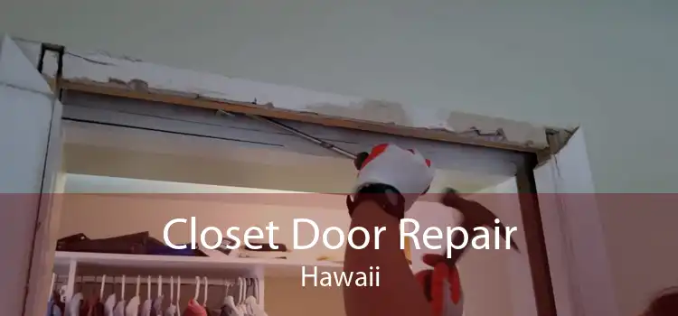 Closet Door Repair Hawaii