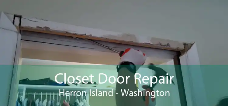 Closet Door Repair Herron Island - Washington