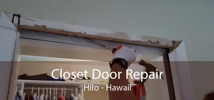 Closet Door Repair Hilo - Hawaii