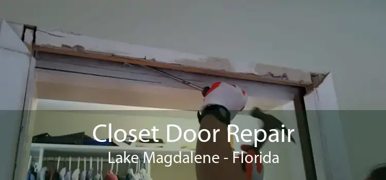 Closet Door Repair Lake Magdalene - Florida