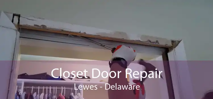 Closet Door Repair Lewes - Delaware