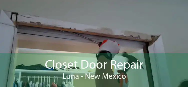 Closet Door Repair Luna - New Mexico