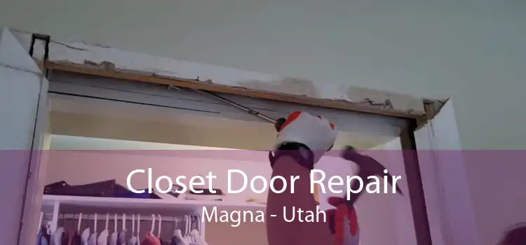 Closet Door Repair Magna - Utah