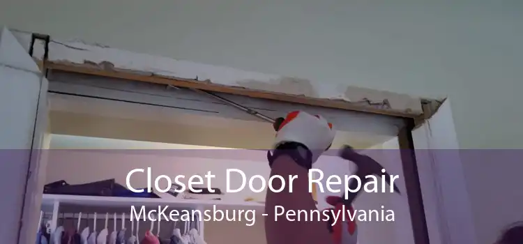 Closet Door Repair McKeansburg - Pennsylvania