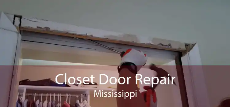 Closet Door Repair Mississippi