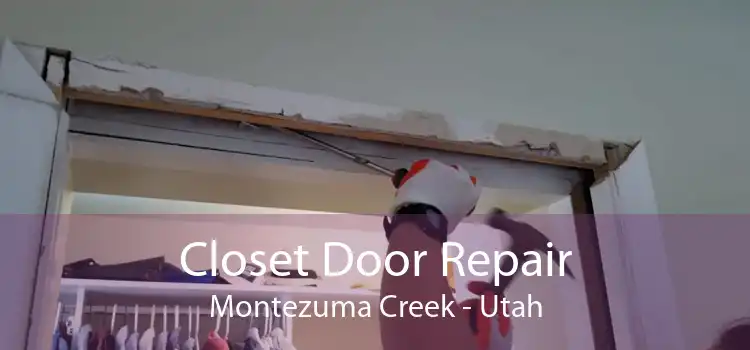 Closet Door Repair Montezuma Creek - Utah