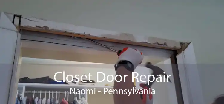 Closet Door Repair Naomi - Pennsylvania