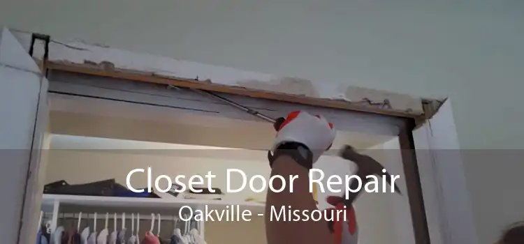 Closet Door Repair Oakville - Missouri